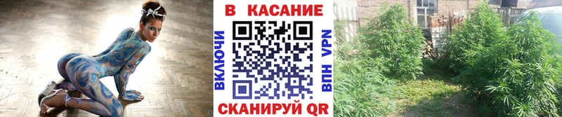 Виды наркоты Нововоронеж Cocaine  Галлюциногенные грибы  ГАШИШ  Амфетамин  Канабис  Альфа ПВП  Меф мяу мяу 