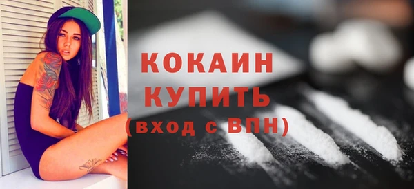 МДПВ Вяземский