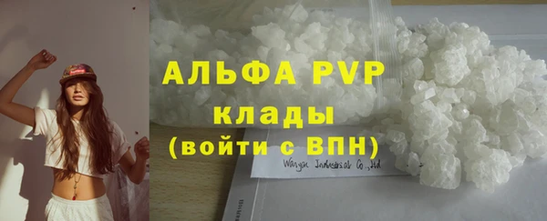 ГАЛЛЮЦИНОГЕННЫЕ ГРИБЫ Вязники