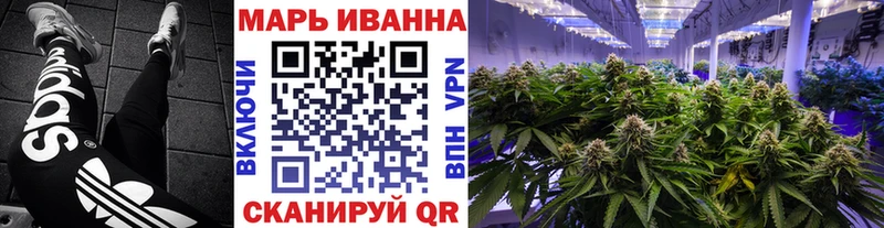 кракен зеркало  Нововоронеж  МАРИХУАНА семена 